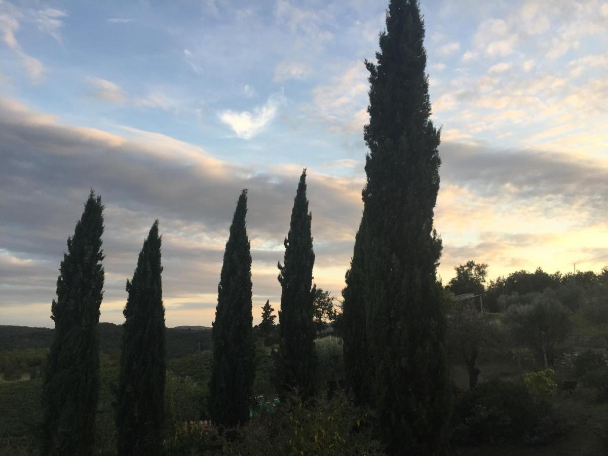 Agriturismo Malpensata Рада ин Кианти Екстериор снимка