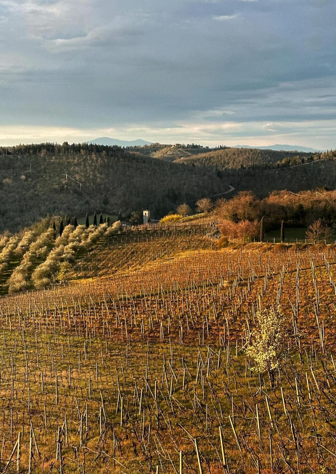 Agriturismo Malpensata Рада ин Кианти Екстериор снимка