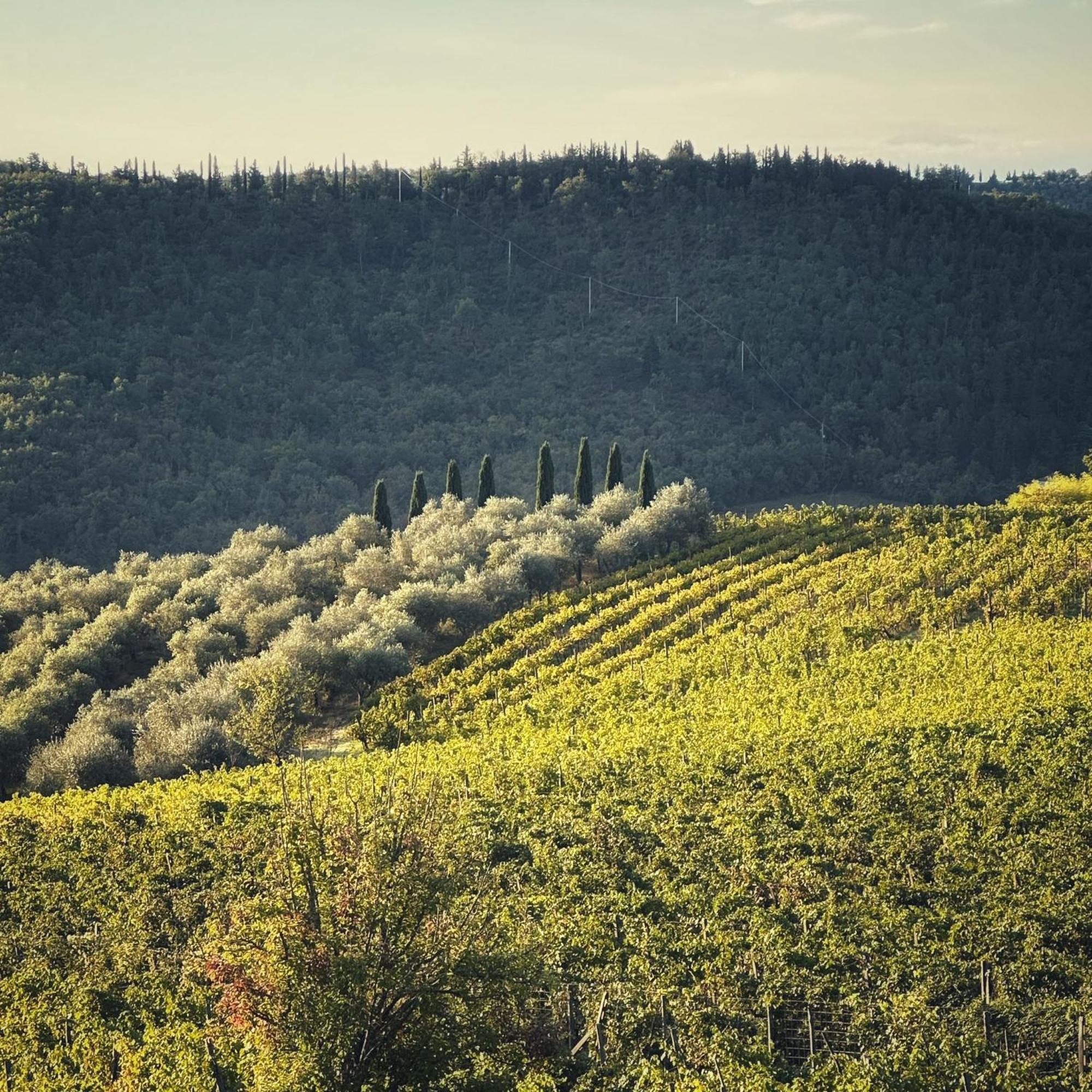 Agriturismo Malpensata Рада ин Кианти Екстериор снимка